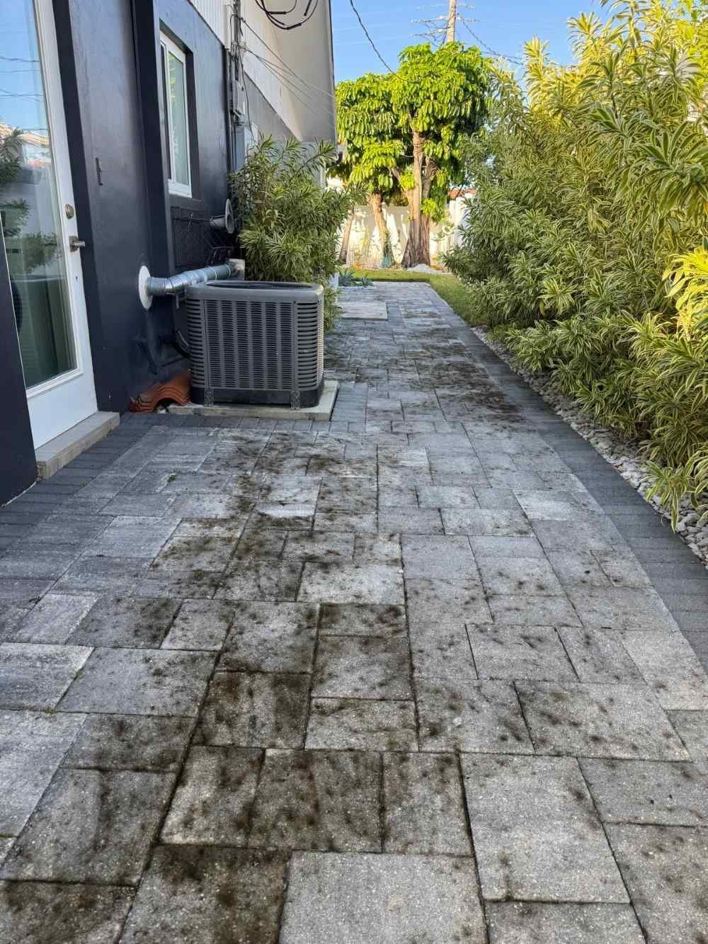 Dirty surface before pressure washing