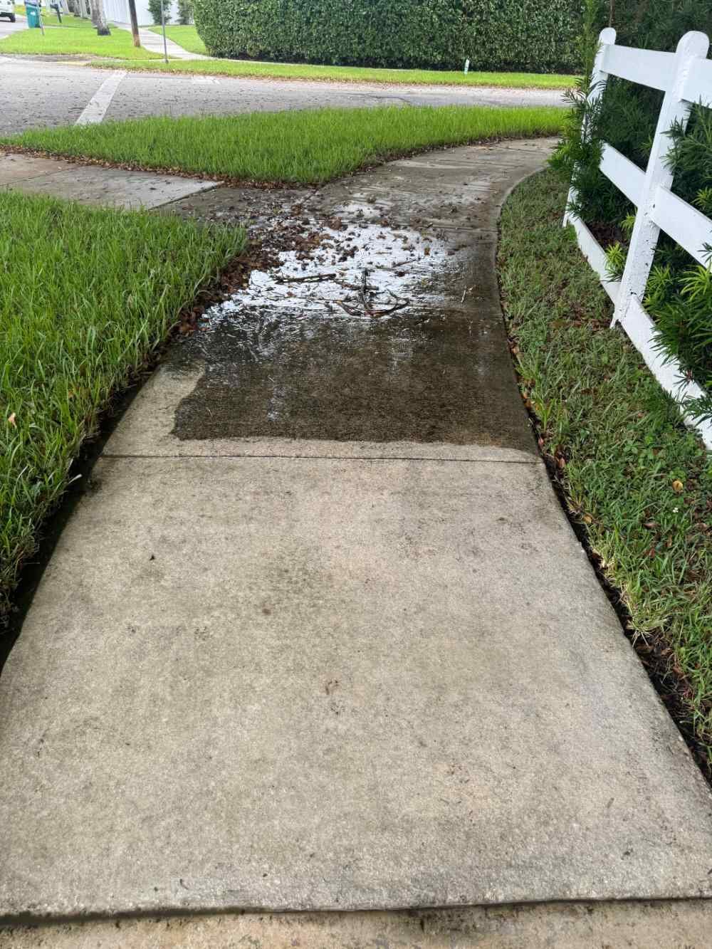 Sidewalk before pressure washing