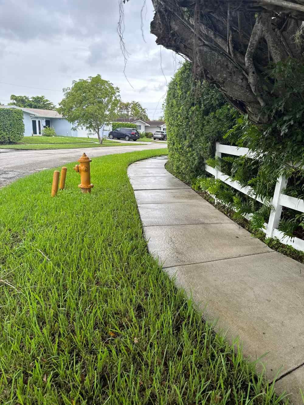 Sidewalk after pressure washing